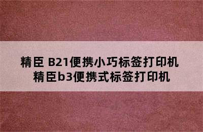 标签打印机推荐-NIIMBOT/精臣 B21便携小巧标签打印机 精臣b3便携式标签打印机